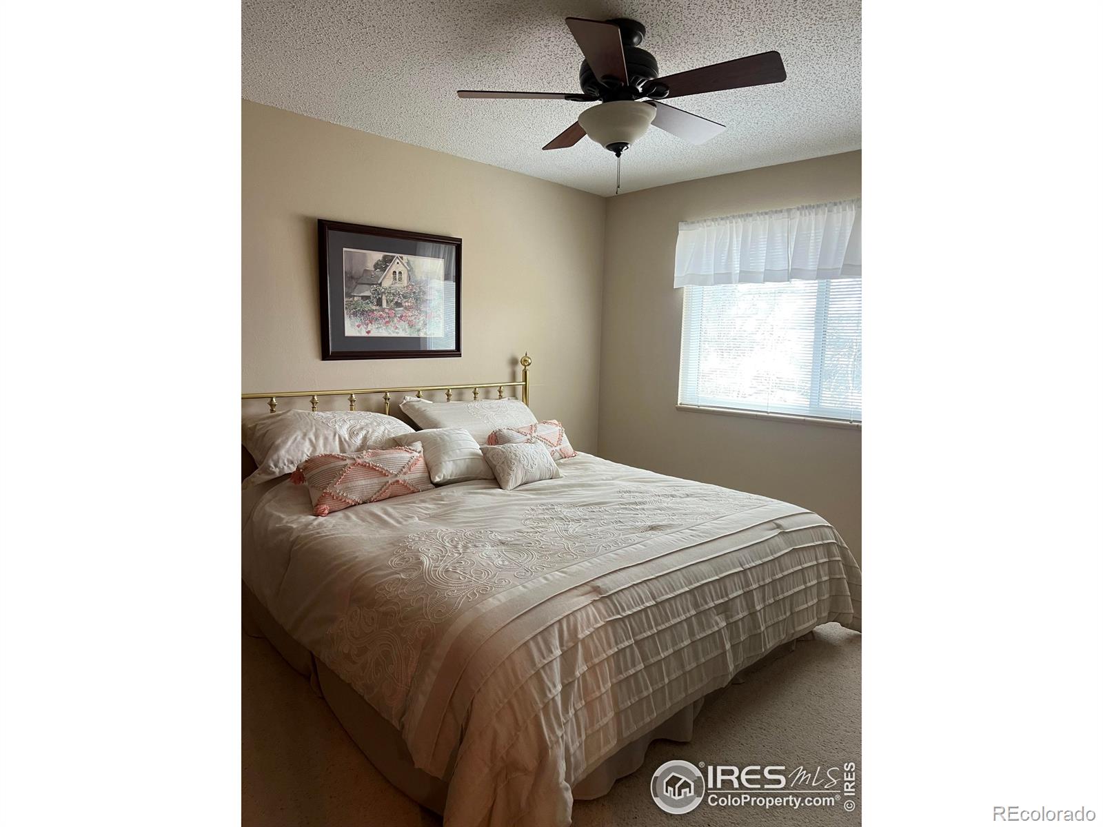 MLS Image #19 for 21  vassar court,longmont, Colorado