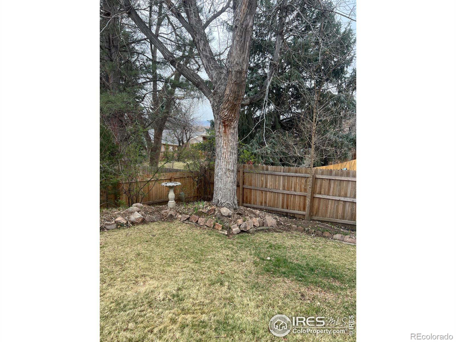MLS Image #35 for 21  vassar court,longmont, Colorado