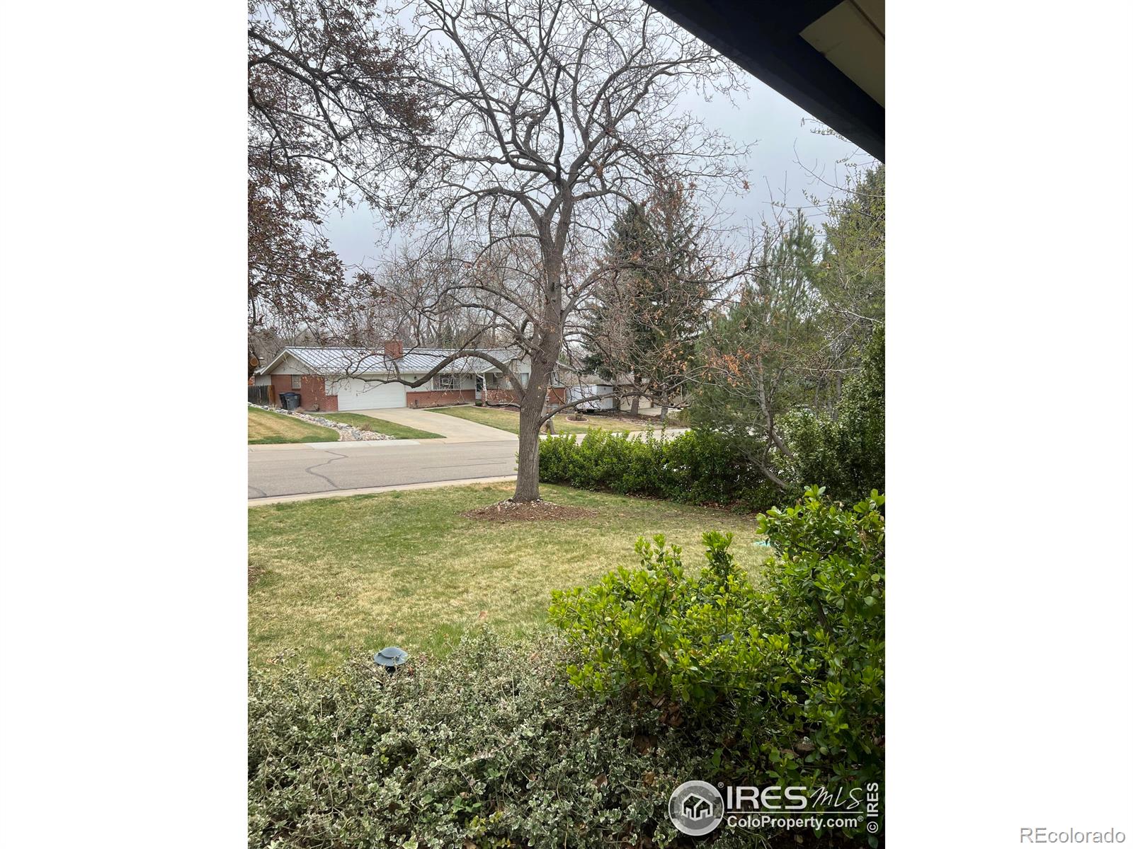 MLS Image #6 for 21  vassar court,longmont, Colorado