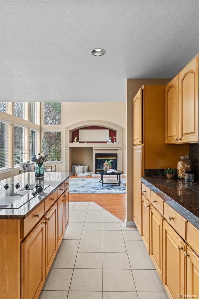 MLS Image #10 for 9743  las colinas drive,lone tree, Colorado
