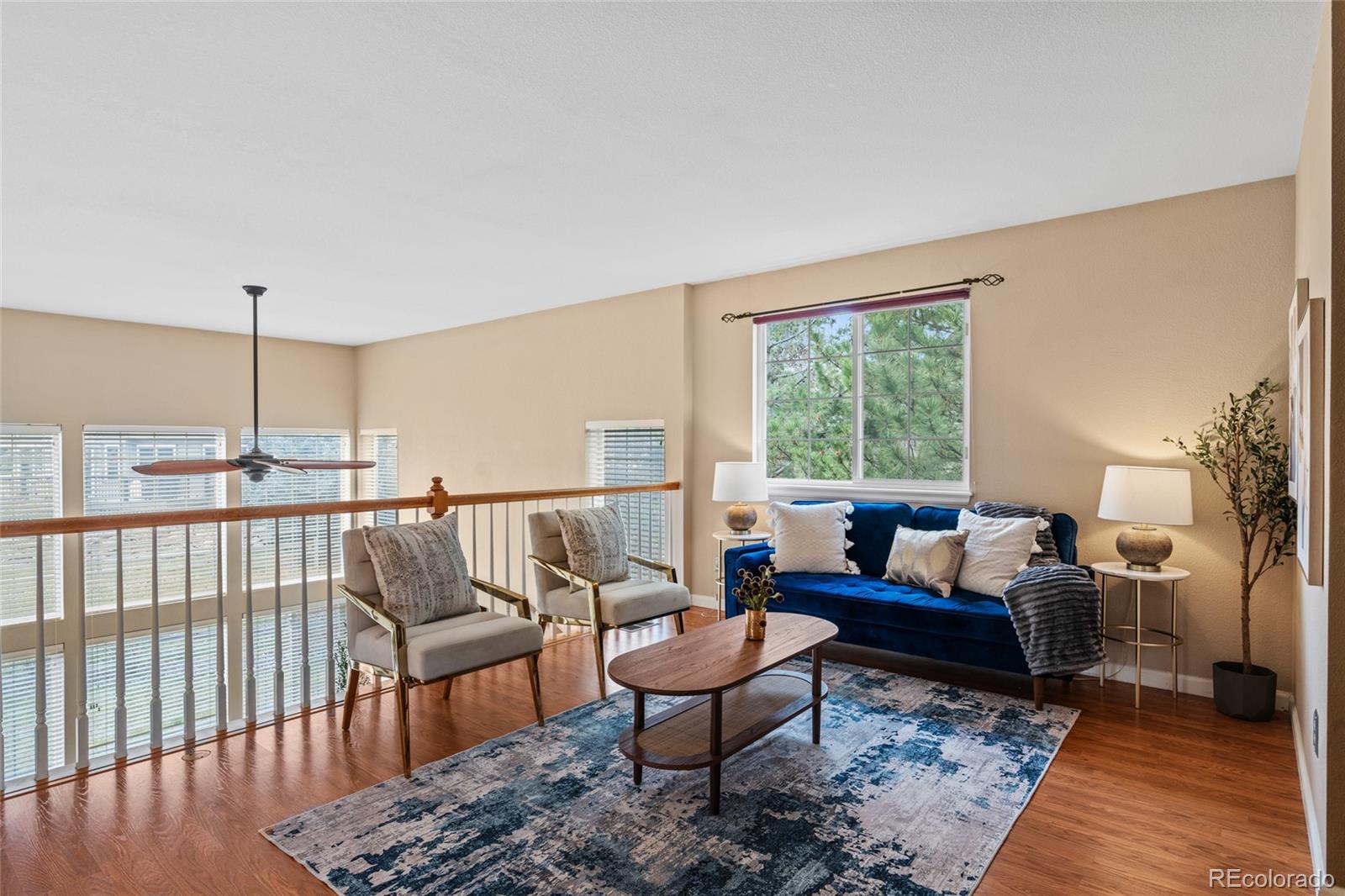 MLS Image #24 for 9743  las colinas drive,lone tree, Colorado