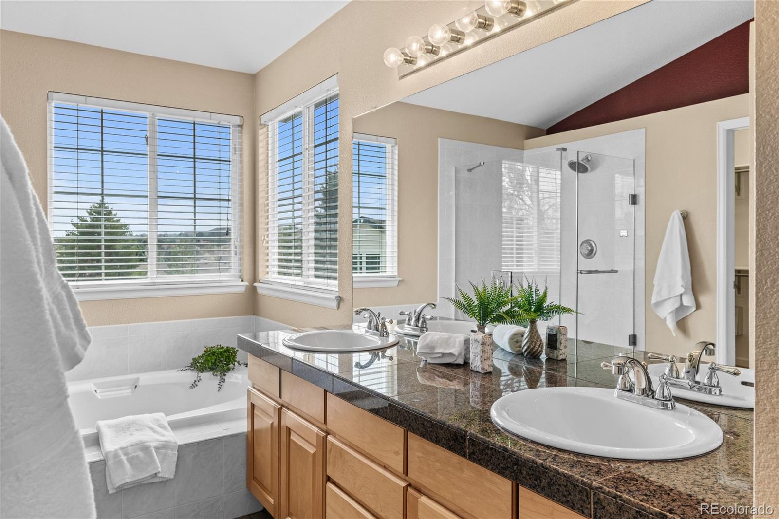 MLS Image #29 for 9743  las colinas drive,lone tree, Colorado
