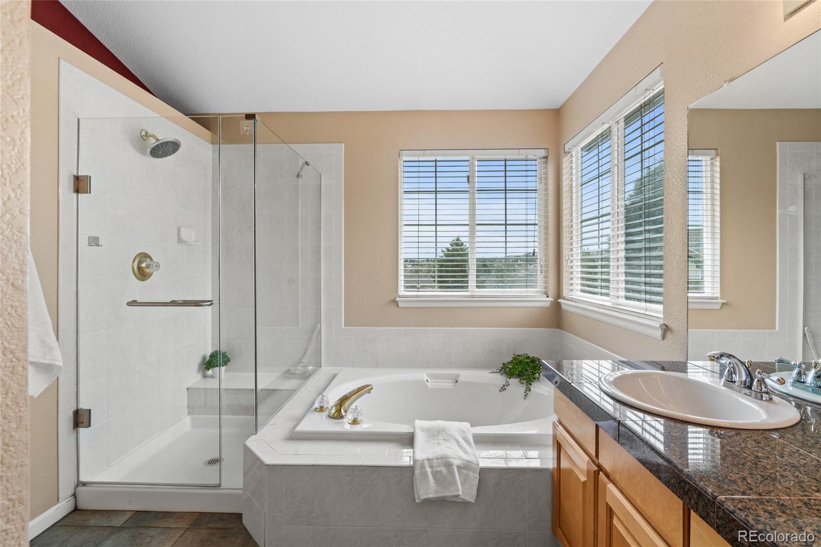 MLS Image #30 for 9743  las colinas drive,lone tree, Colorado