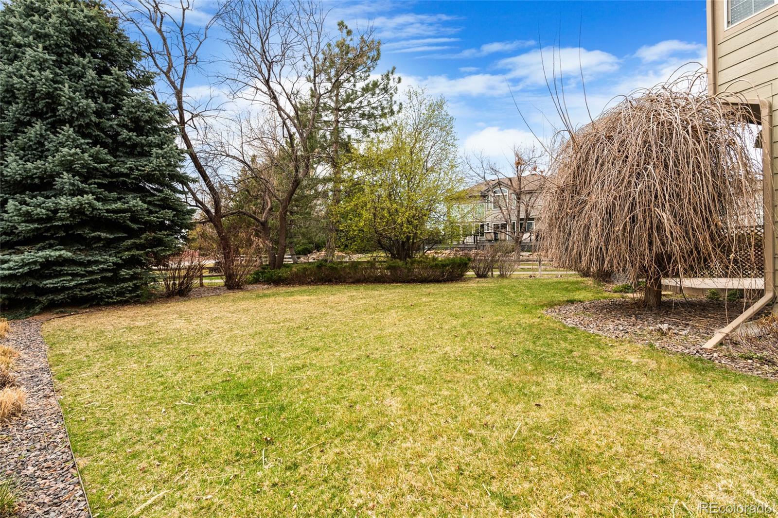 MLS Image #41 for 9743  las colinas drive,lone tree, Colorado