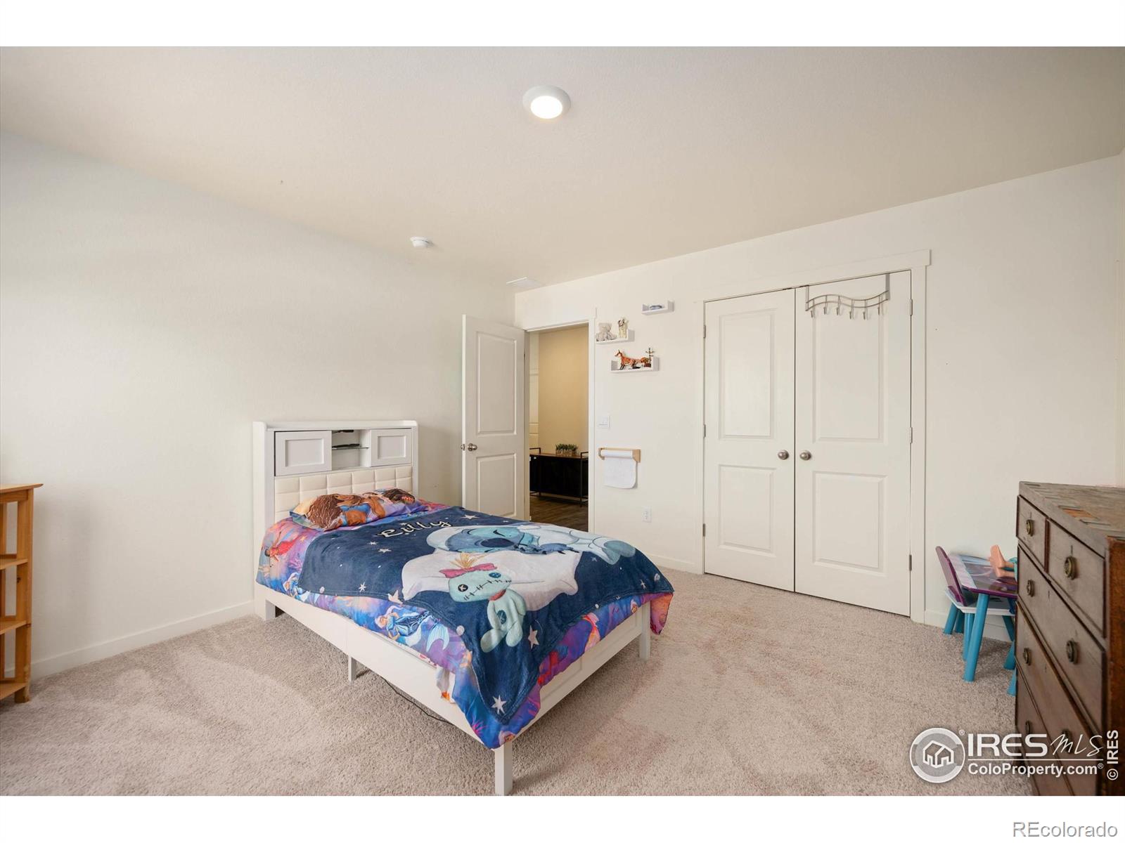 MLS Image #19 for 615  sawyers pond drive,severance, Colorado