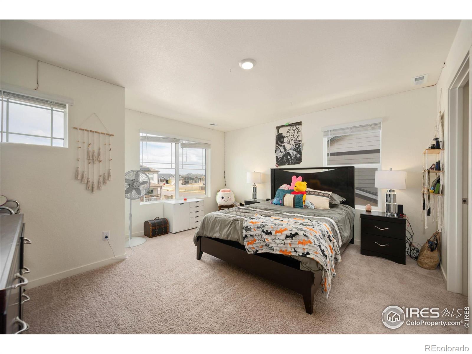 MLS Image #21 for 615  sawyers pond drive,severance, Colorado