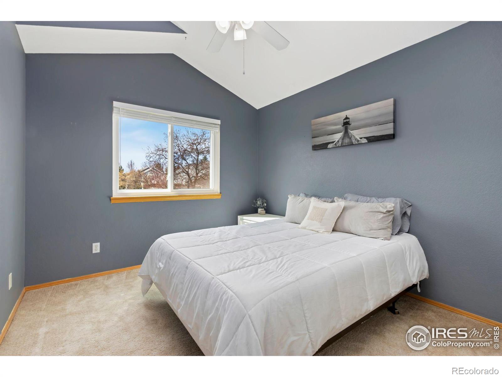 MLS Image #18 for 821  courtenay circle,fort collins, Colorado