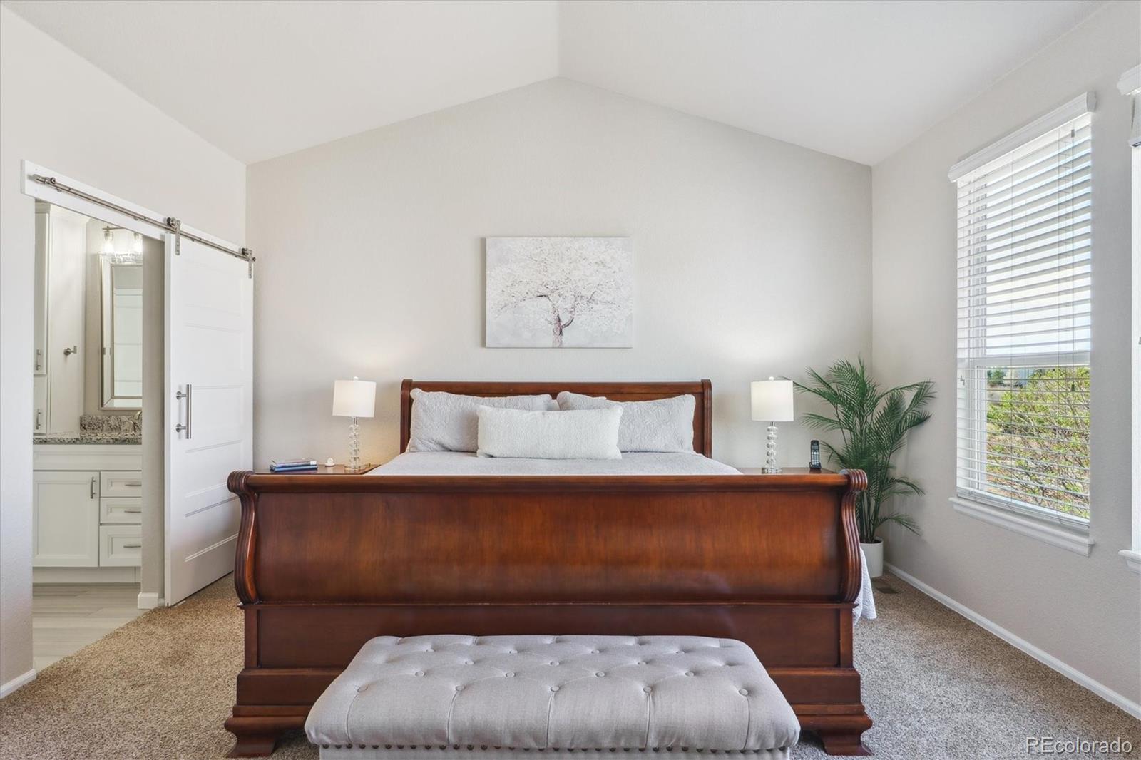 MLS Image #20 for 1863  rose petal court,castle rock, Colorado