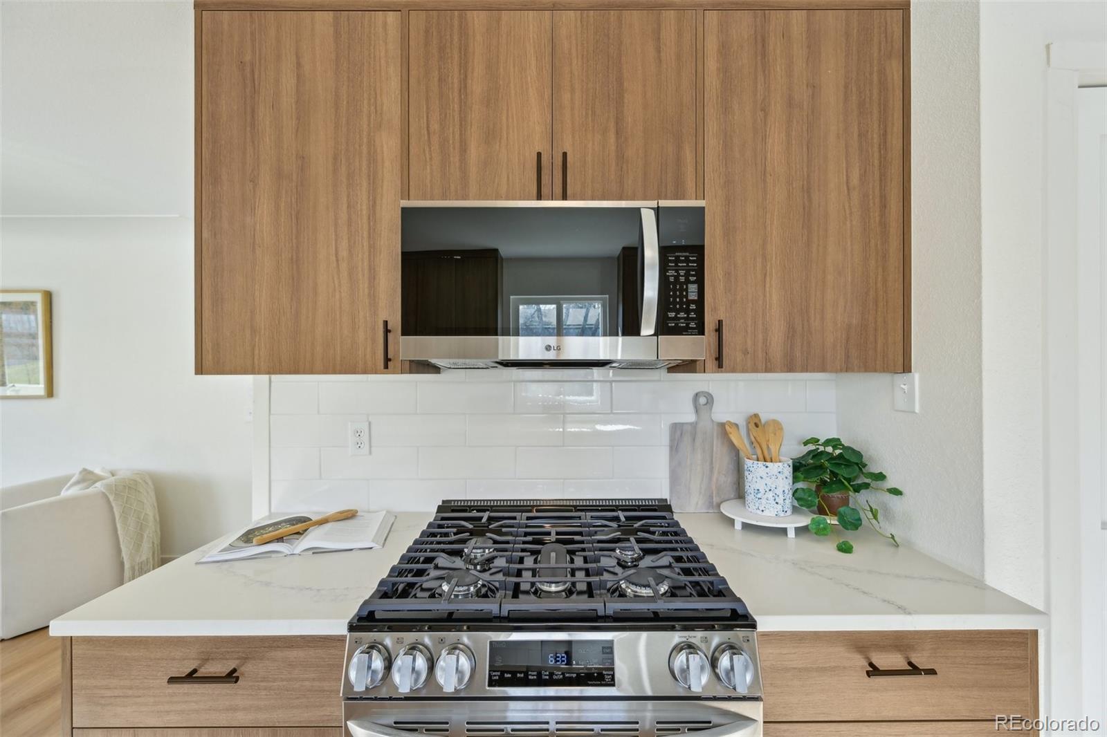 MLS Image #3 for 2293 s sherman street,denver, Colorado