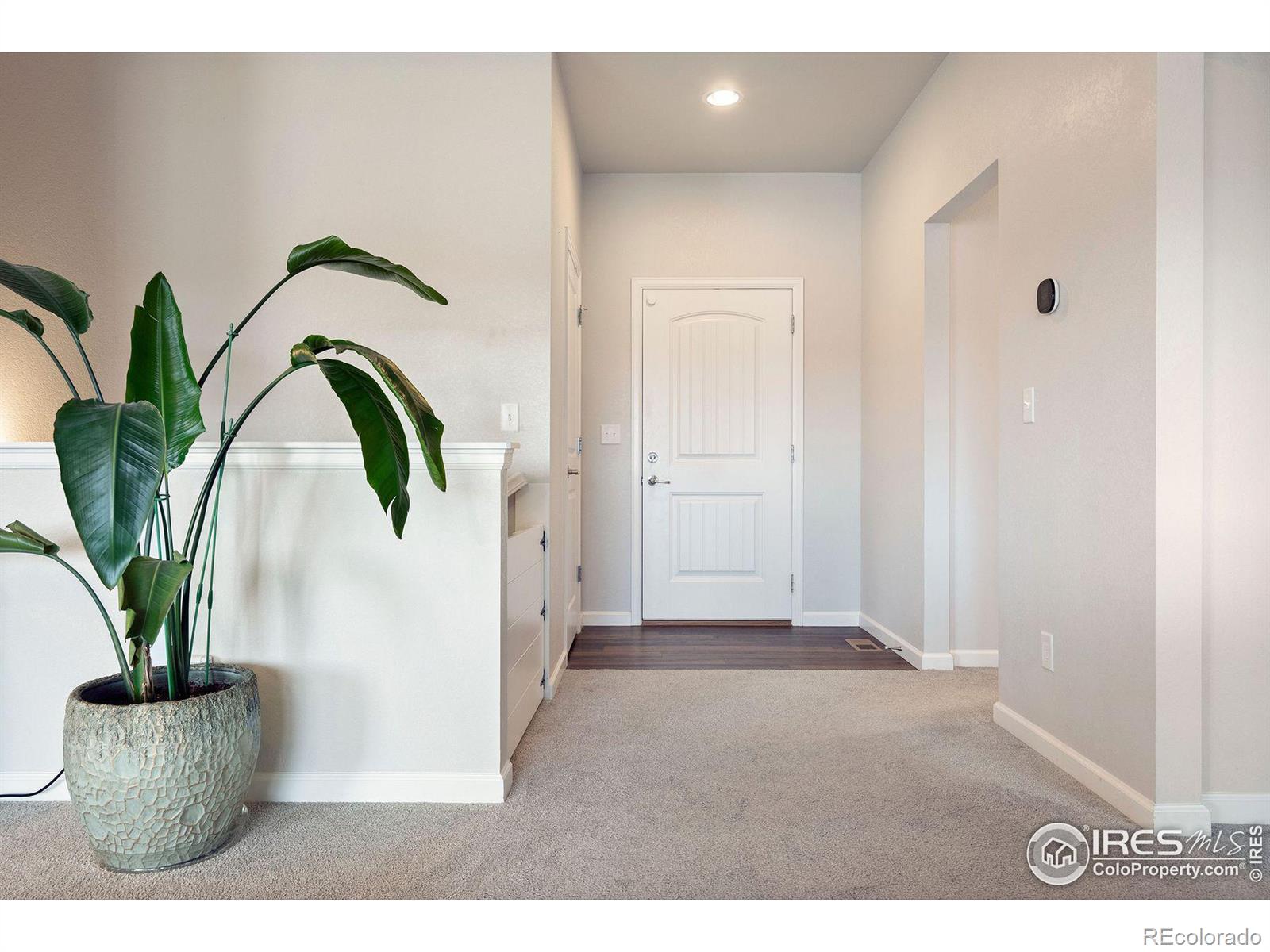 CMA Image for 729 s depot drive,Milliken, Colorado