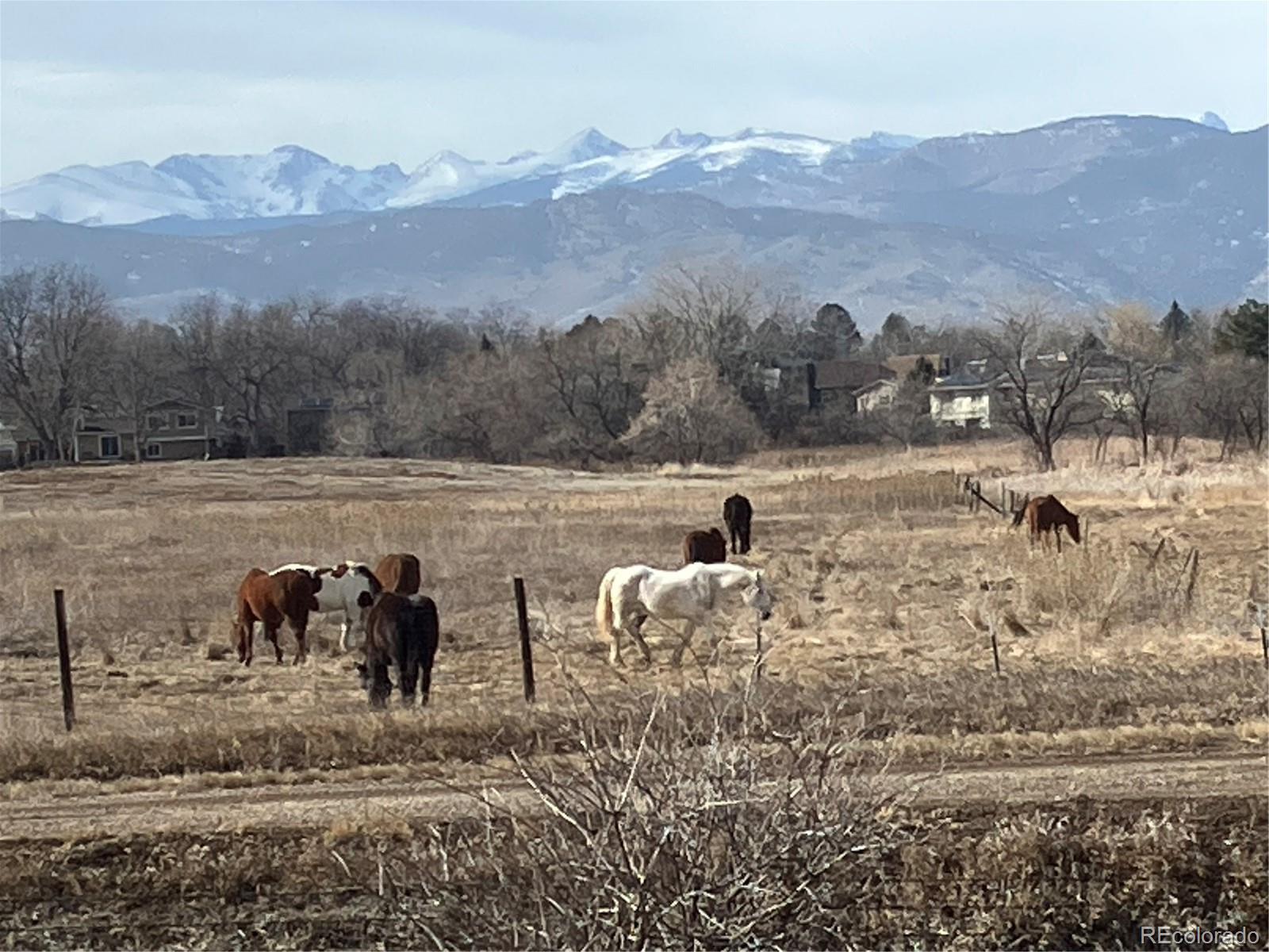 MLS Image #33 for 4505  carter trail,boulder, Colorado