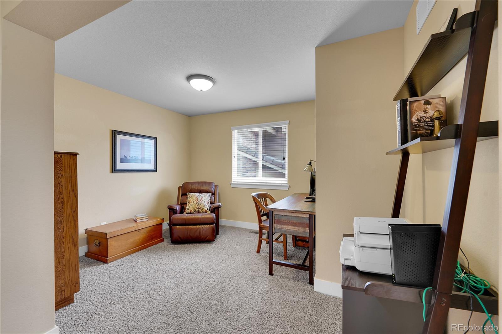 MLS Image #13 for 10452  rutledge street,parker, Colorado