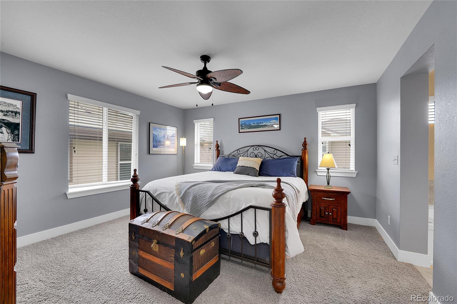 MLS Image #14 for 10452  rutledge street,parker, Colorado