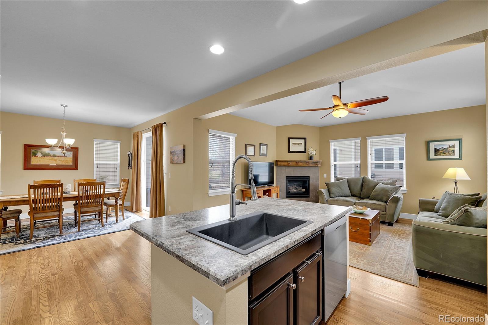 MLS Image #4 for 10452  rutledge street,parker, Colorado