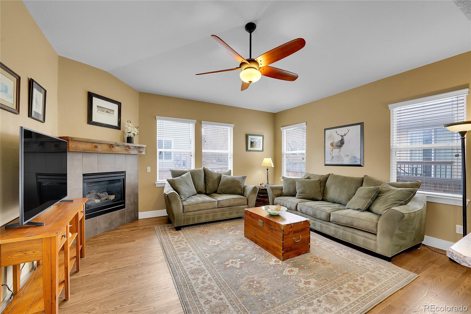 MLS Image #6 for 10452  rutledge street,parker, Colorado