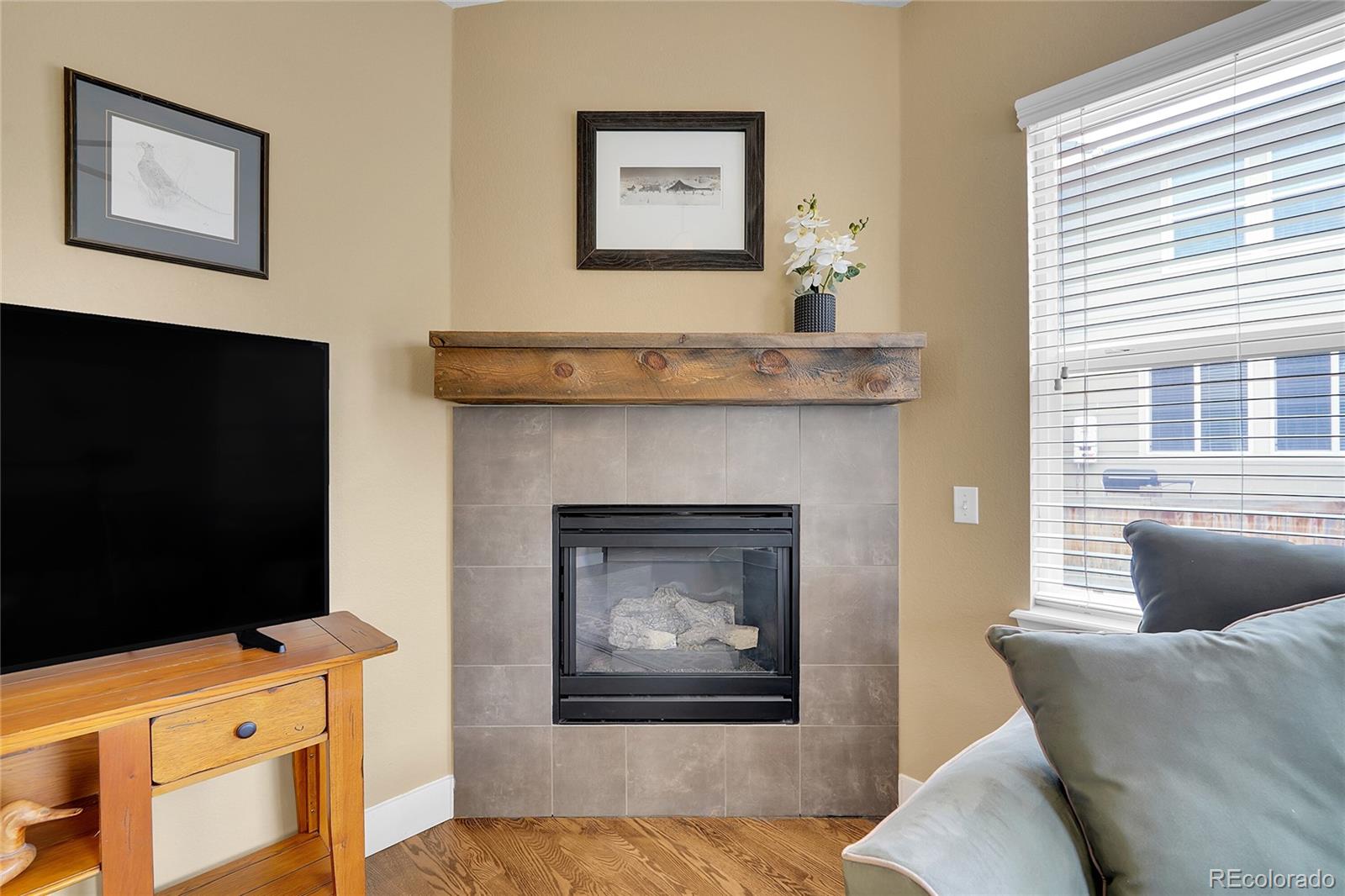 MLS Image #8 for 10452  rutledge street,parker, Colorado