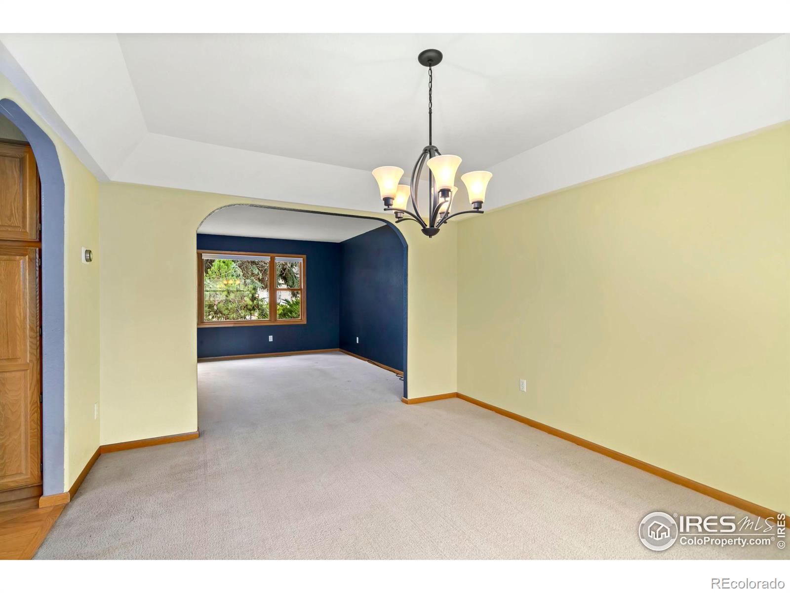 MLS Image #13 for 4924  bluestem court,fort collins, Colorado