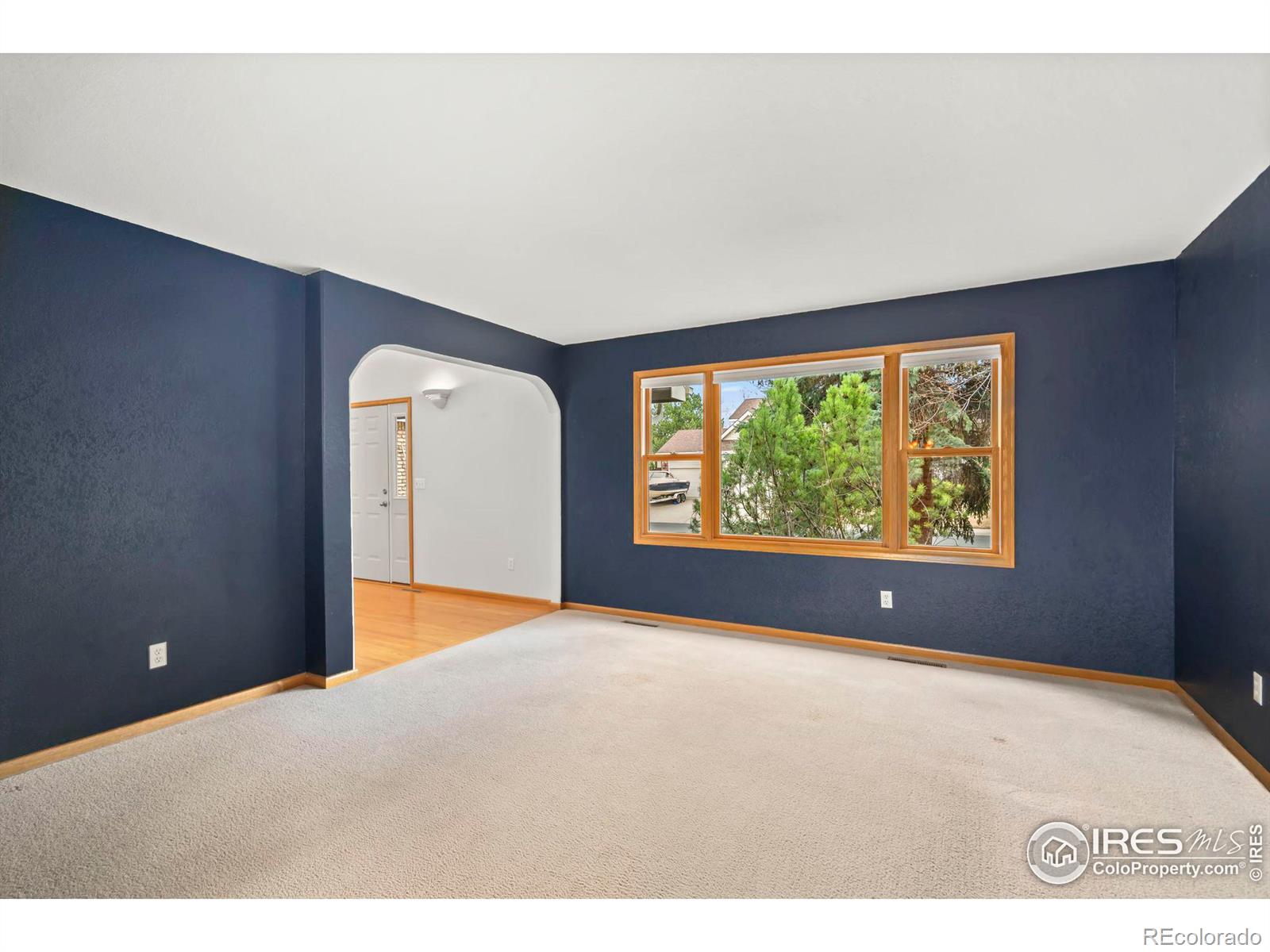 MLS Image #14 for 4924  bluestem court,fort collins, Colorado