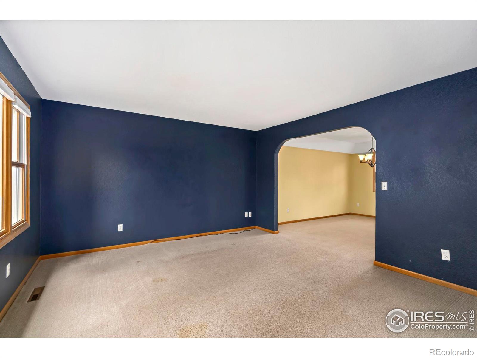 MLS Image #15 for 4924  bluestem court,fort collins, Colorado