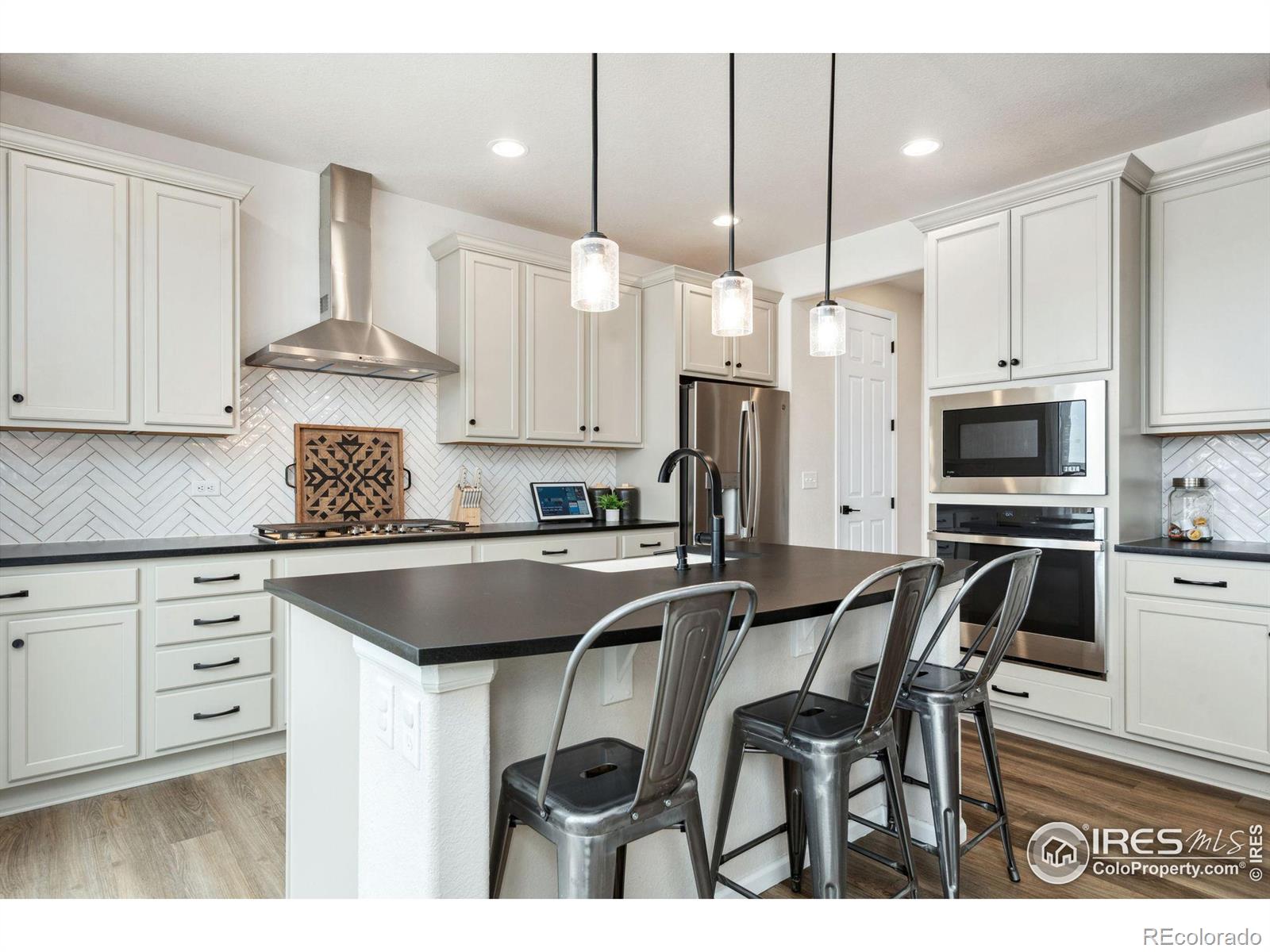 MLS Image #10 for 979  mouflon drive,severance, Colorado