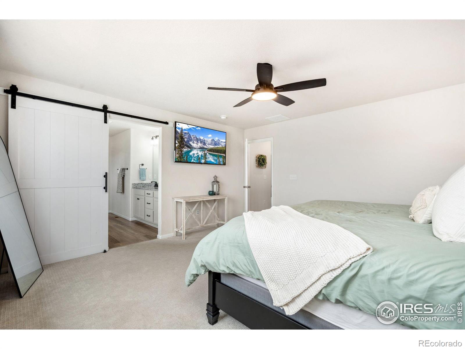 MLS Image #22 for 979  mouflon drive,severance, Colorado