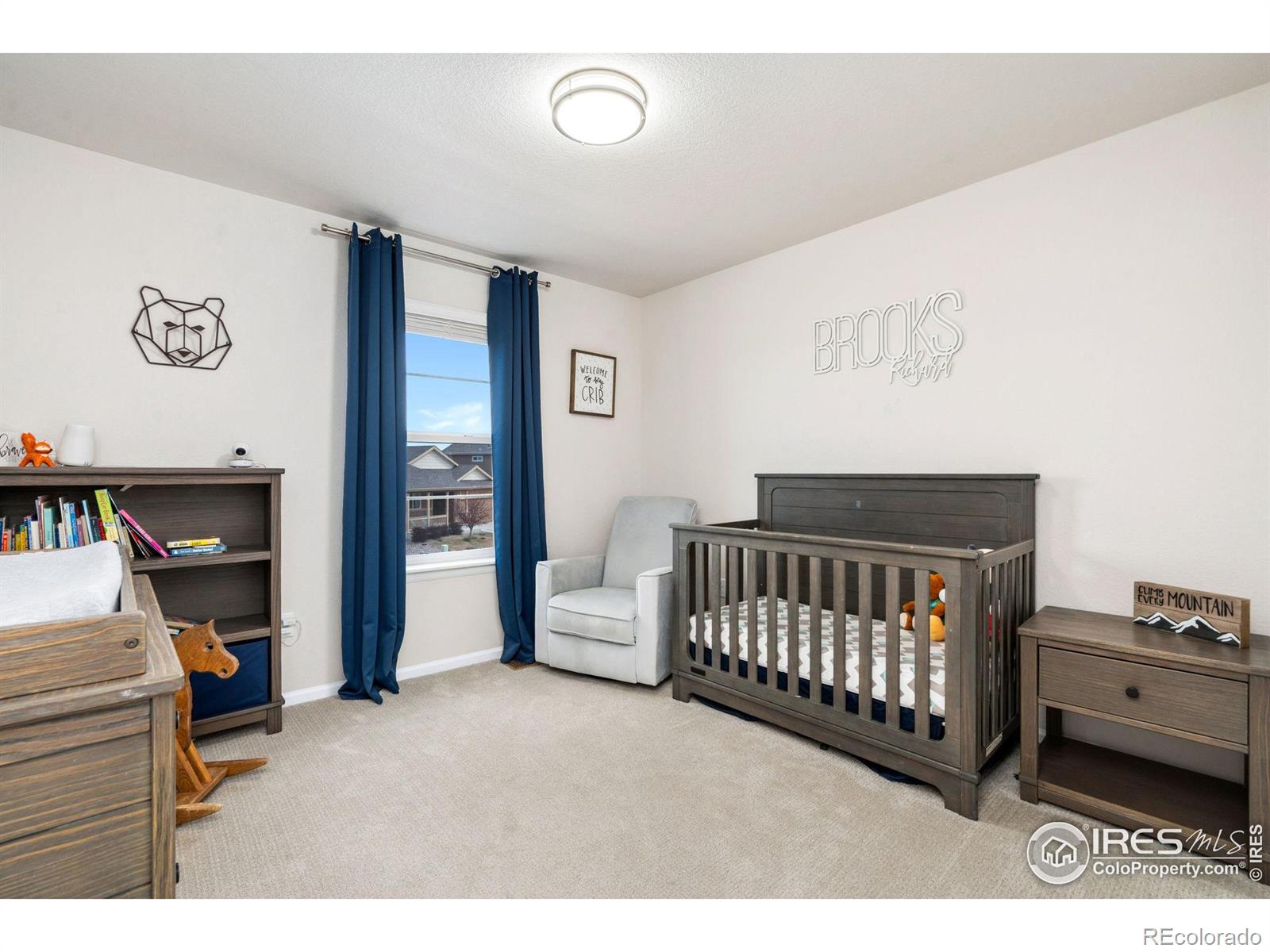 MLS Image #27 for 979  mouflon drive,severance, Colorado