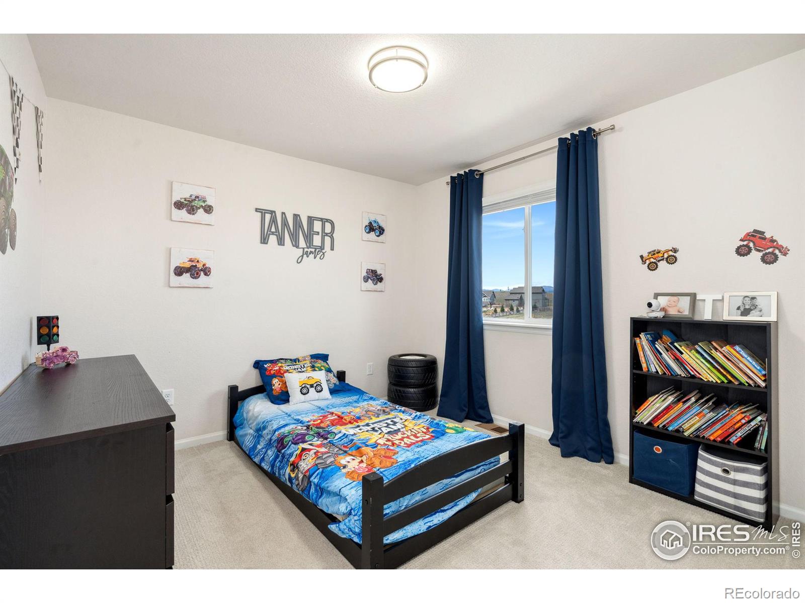 MLS Image #29 for 979  mouflon drive,severance, Colorado