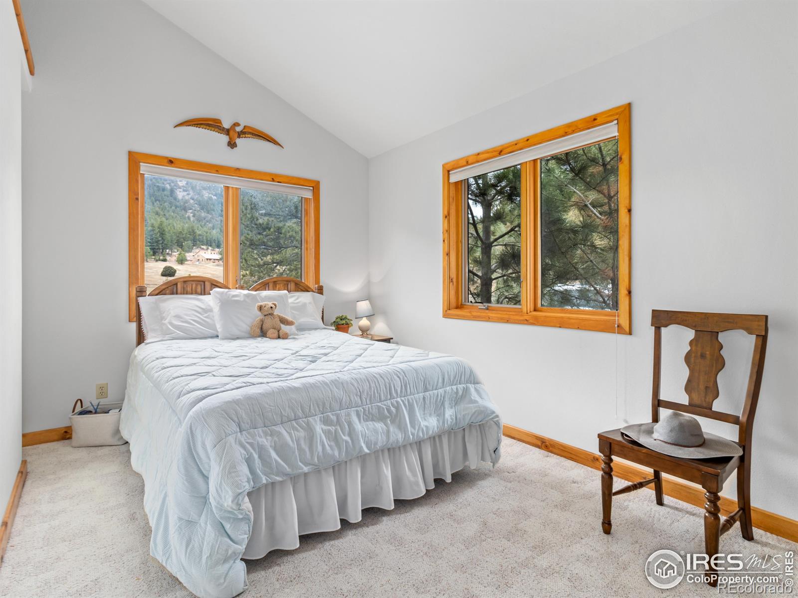 MLS Image #10 for 28  miller fork road,glen haven, Colorado