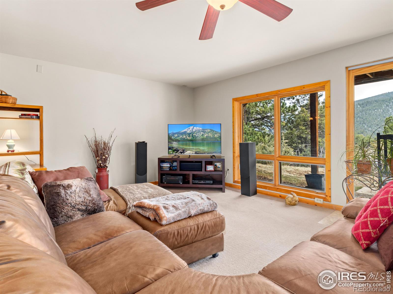 MLS Image #11 for 28  miller fork road,glen haven, Colorado