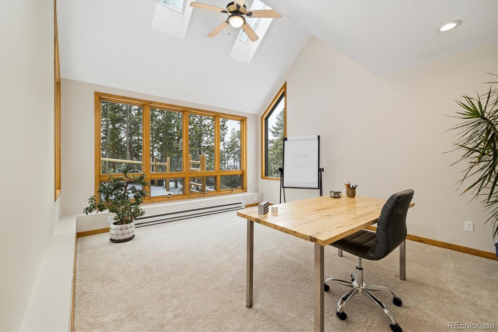 MLS Image #29 for 10354  georgia circle,morrison, Colorado