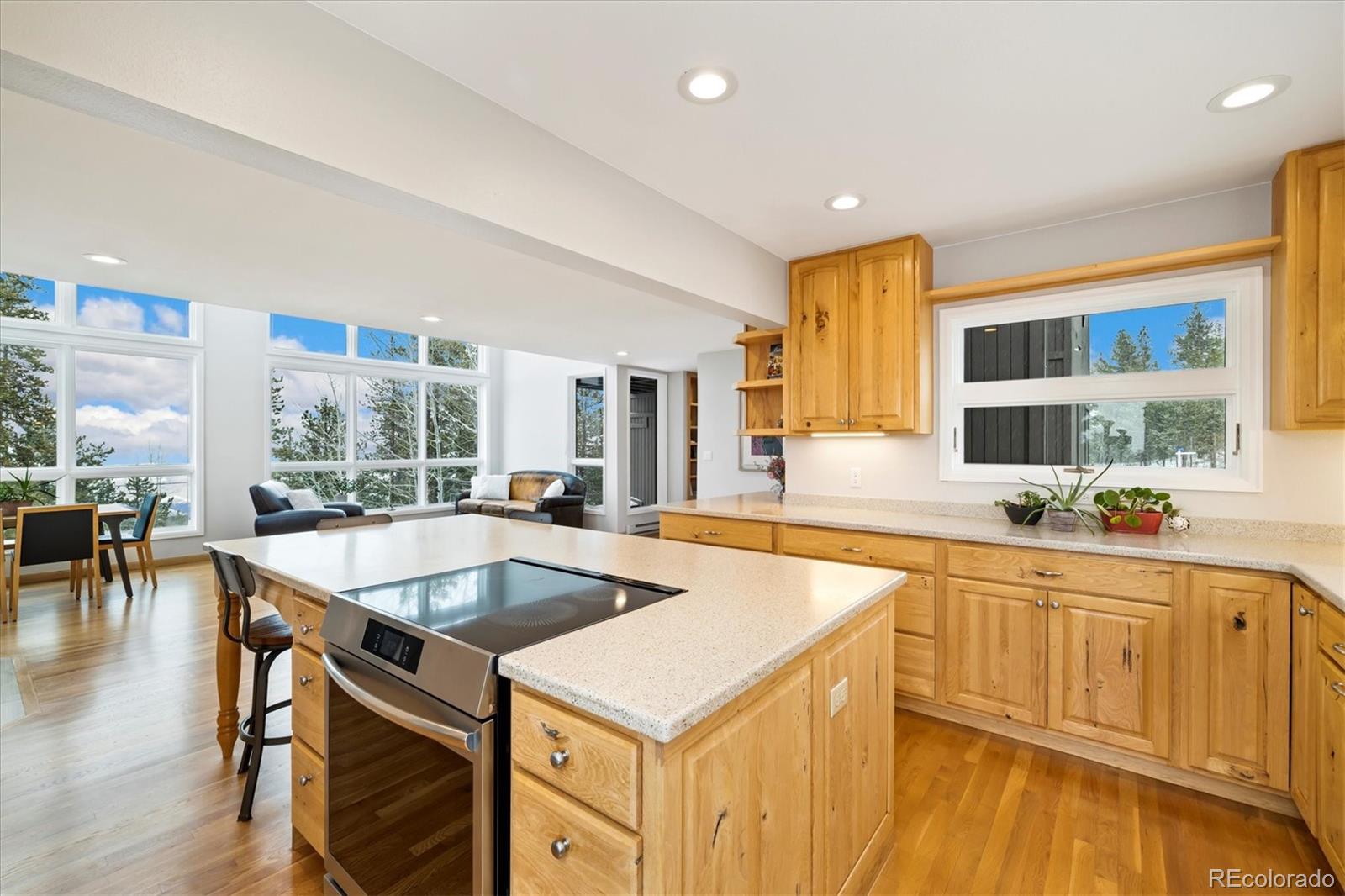 MLS Image #8 for 10354  georgia circle,morrison, Colorado
