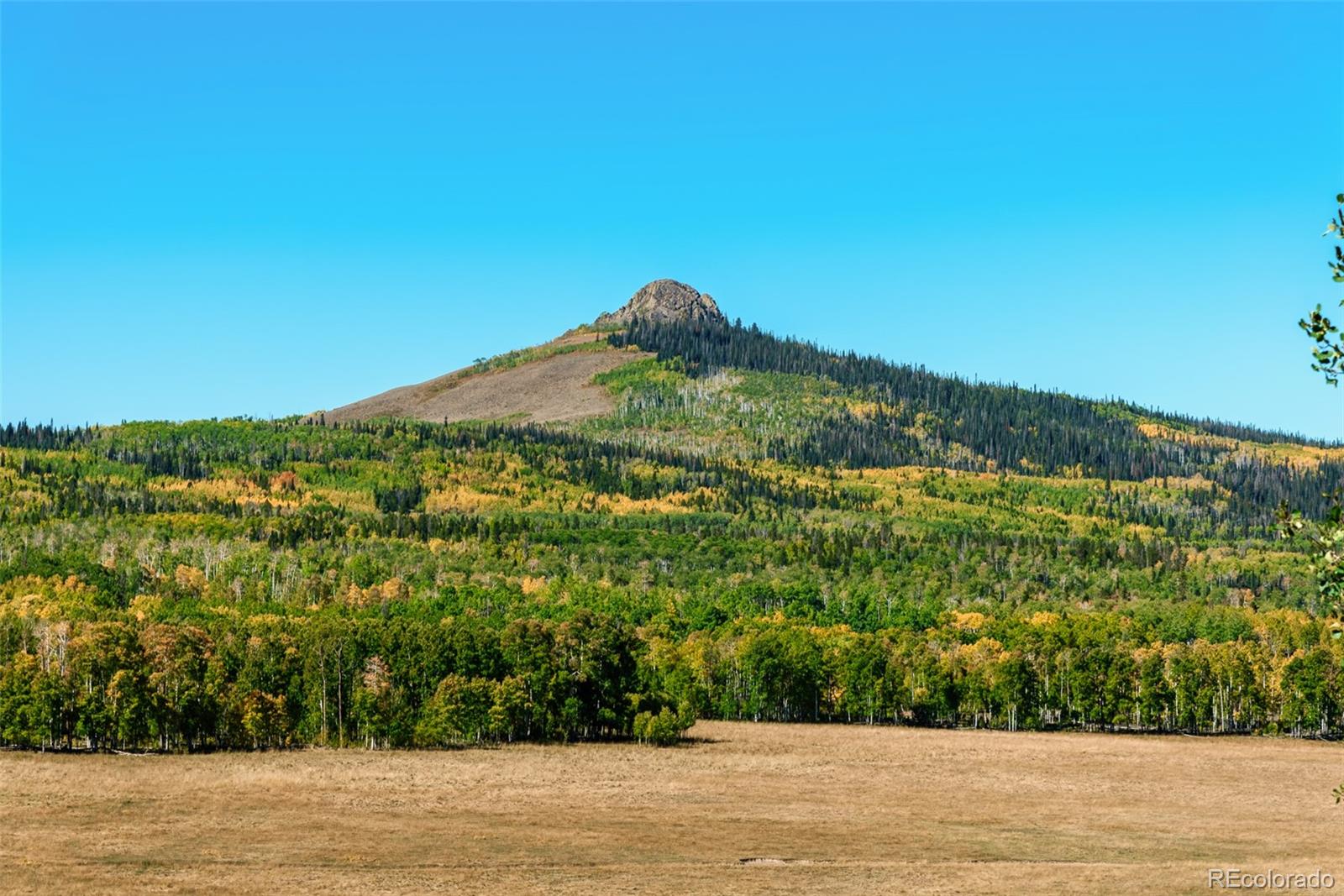 MLS Image #17 for 5722  jcr 11 ,walden, Colorado