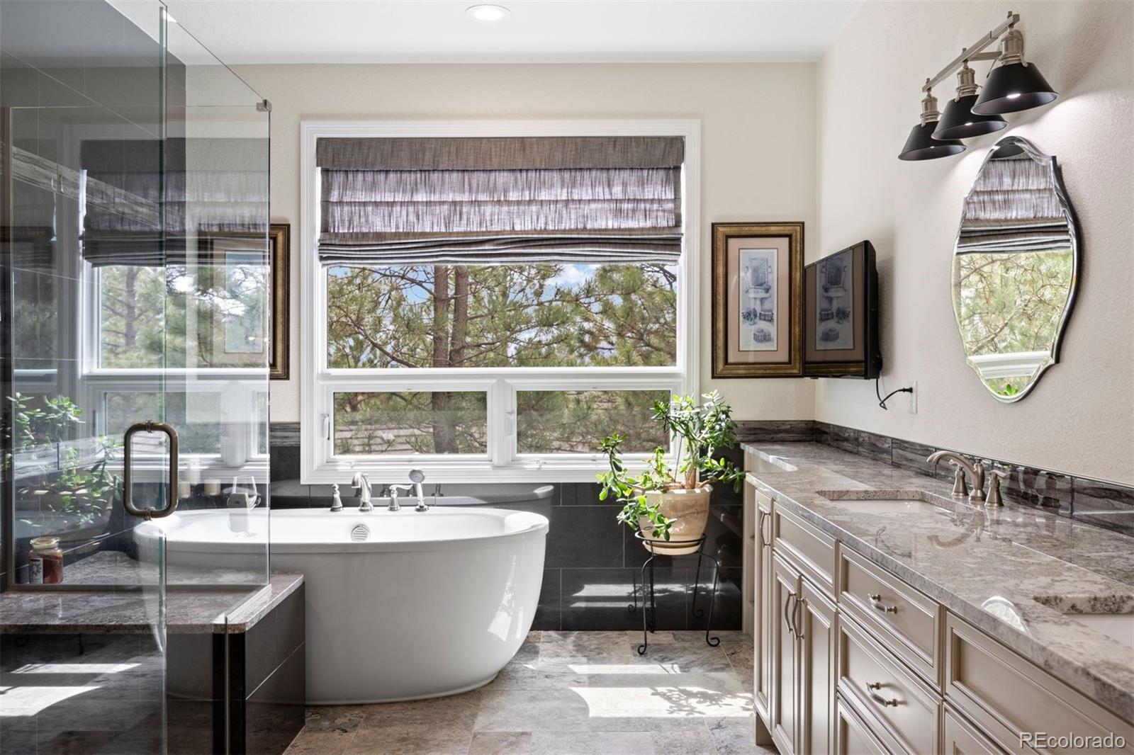 MLS Image #11 for 3228  country club parkway,castle rock, Colorado