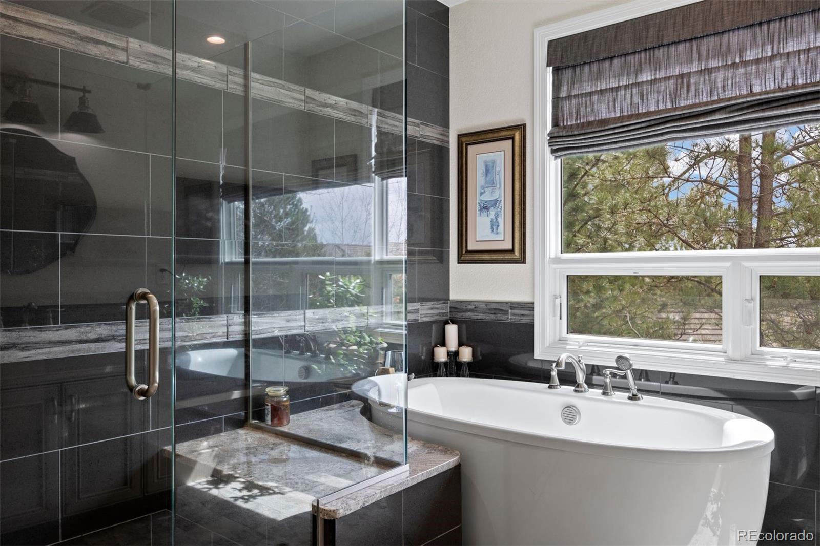 MLS Image #12 for 3228  country club parkway,castle rock, Colorado