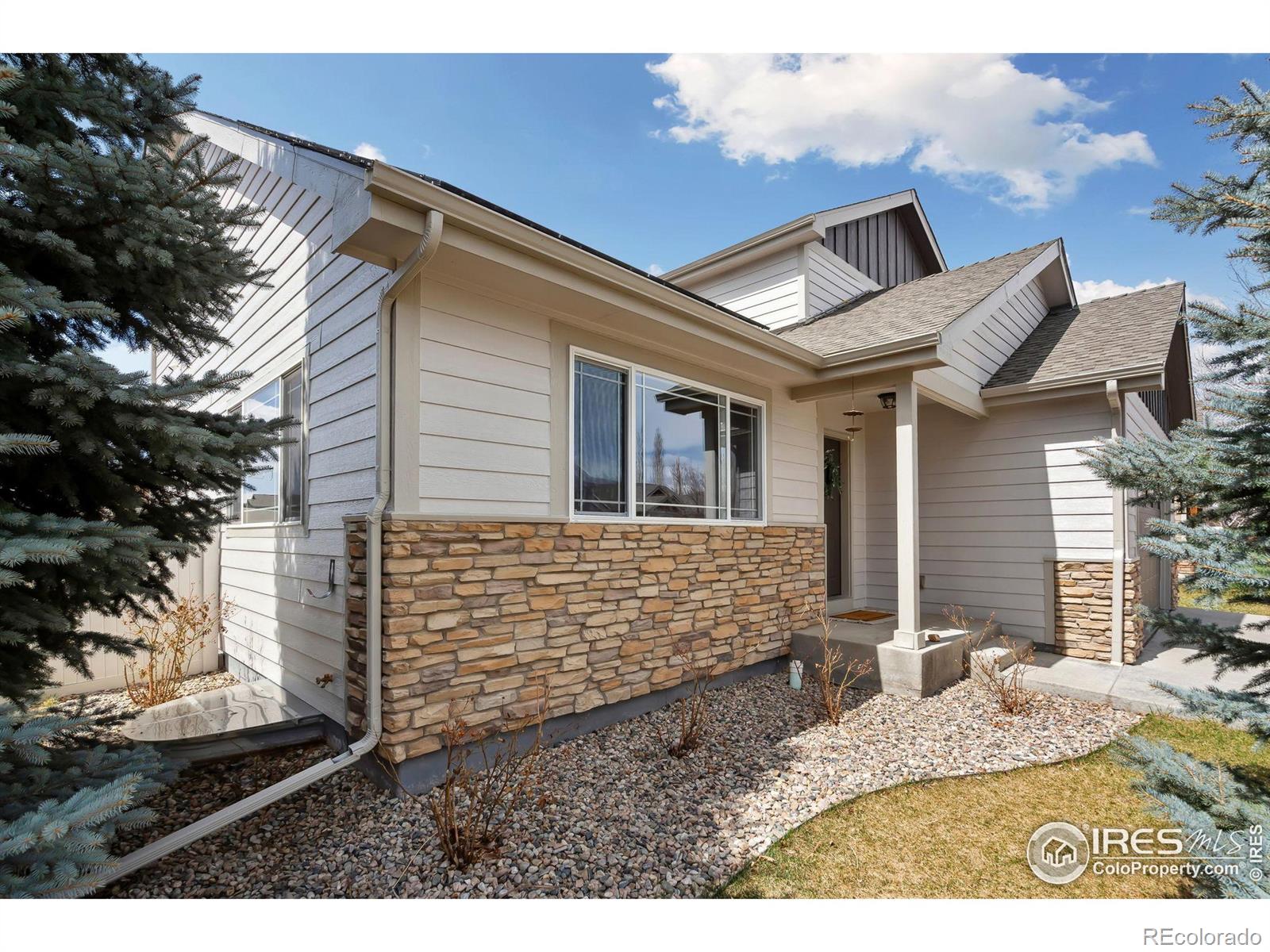 MLS Image #2 for 602  yukon court,windsor, Colorado
