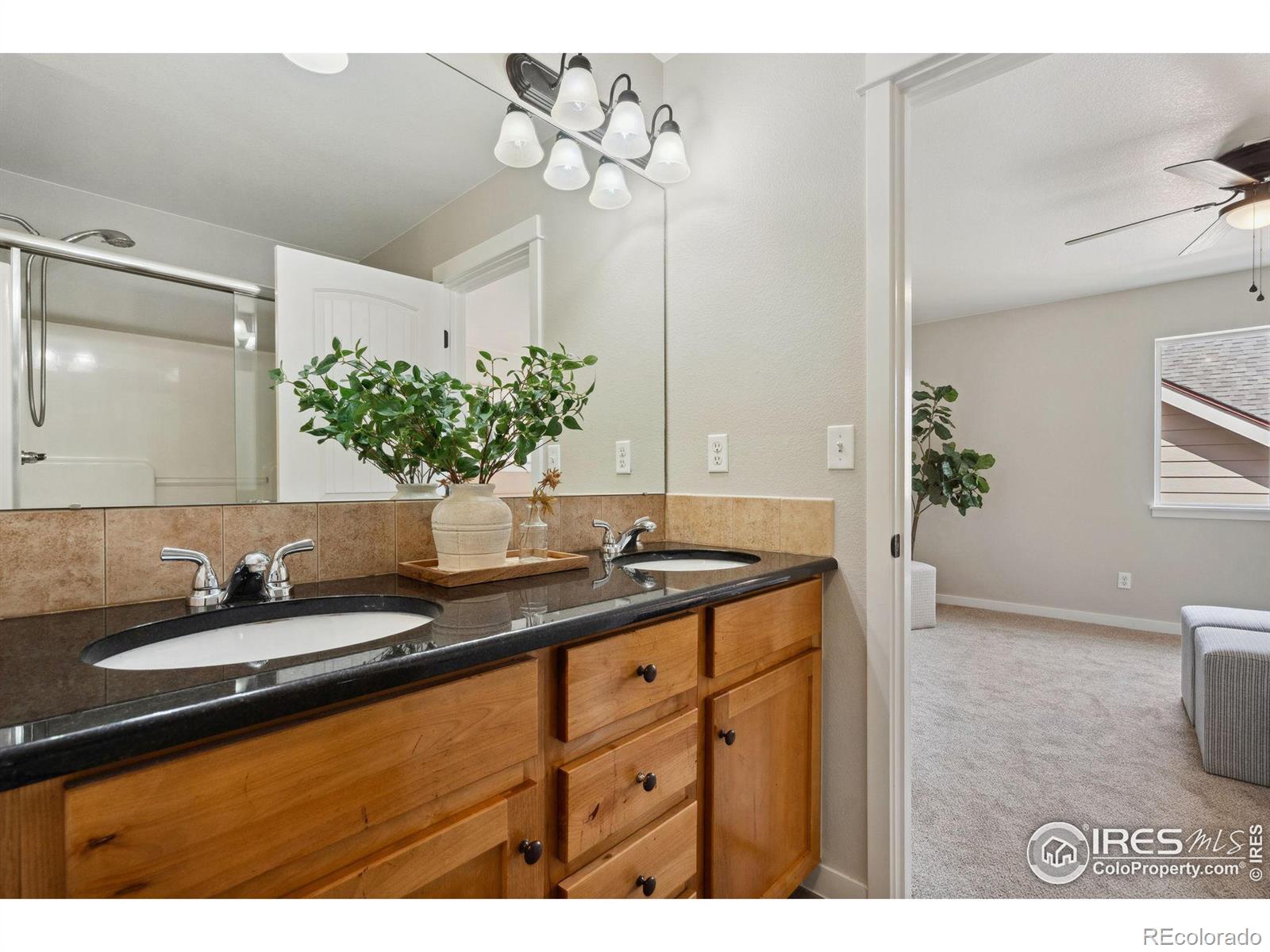 MLS Image #20 for 602  yukon court,windsor, Colorado