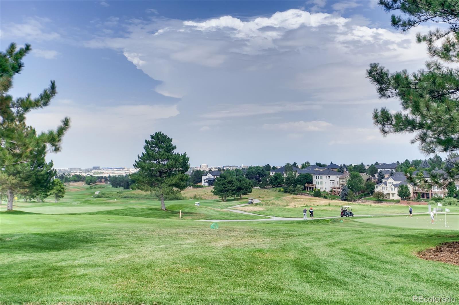 MLS Image #41 for 8723  fairview oaks lane,lone tree, Colorado
