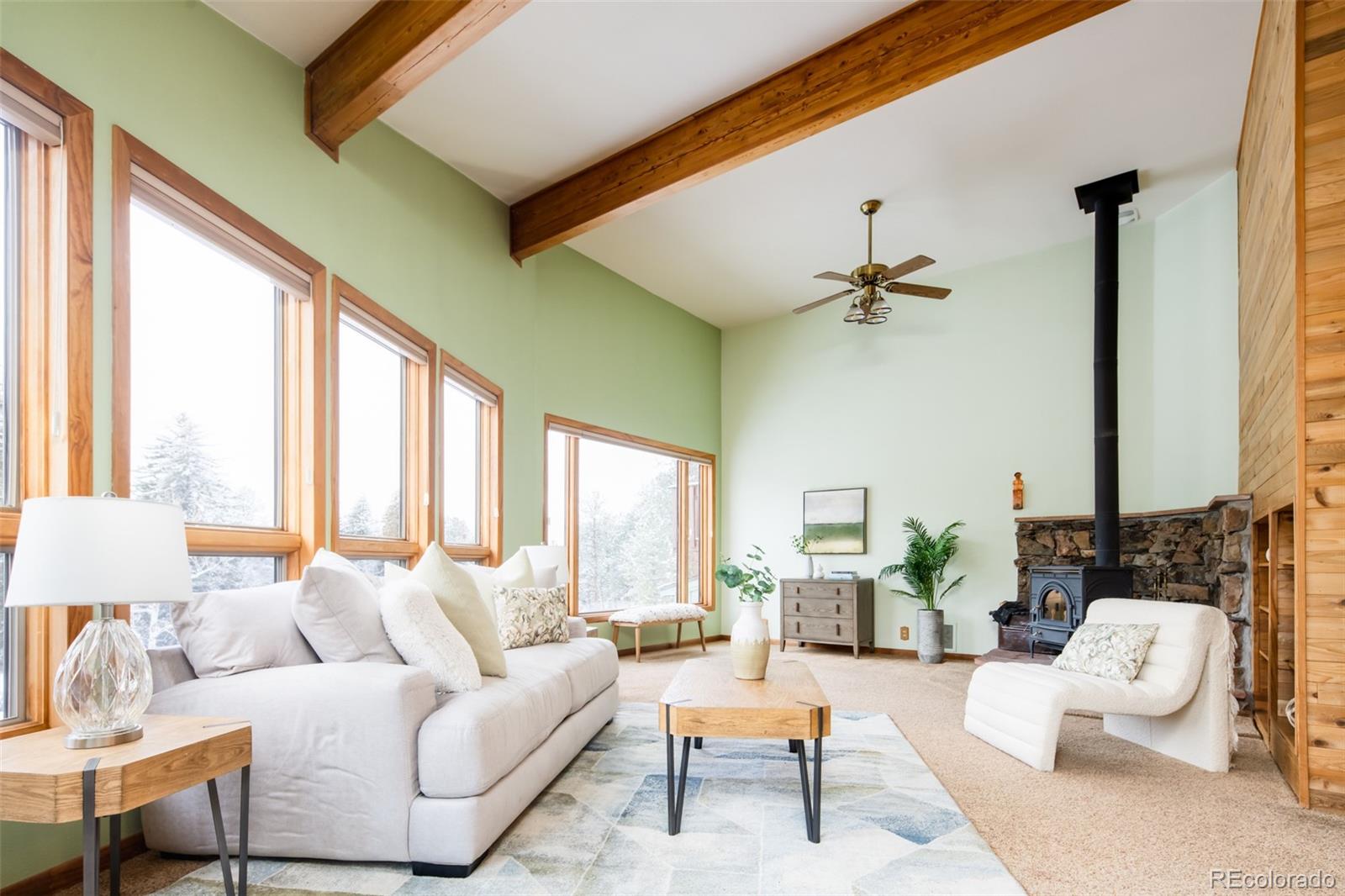 MLS Image #19 for 27625  hi view road,evergreen, Colorado