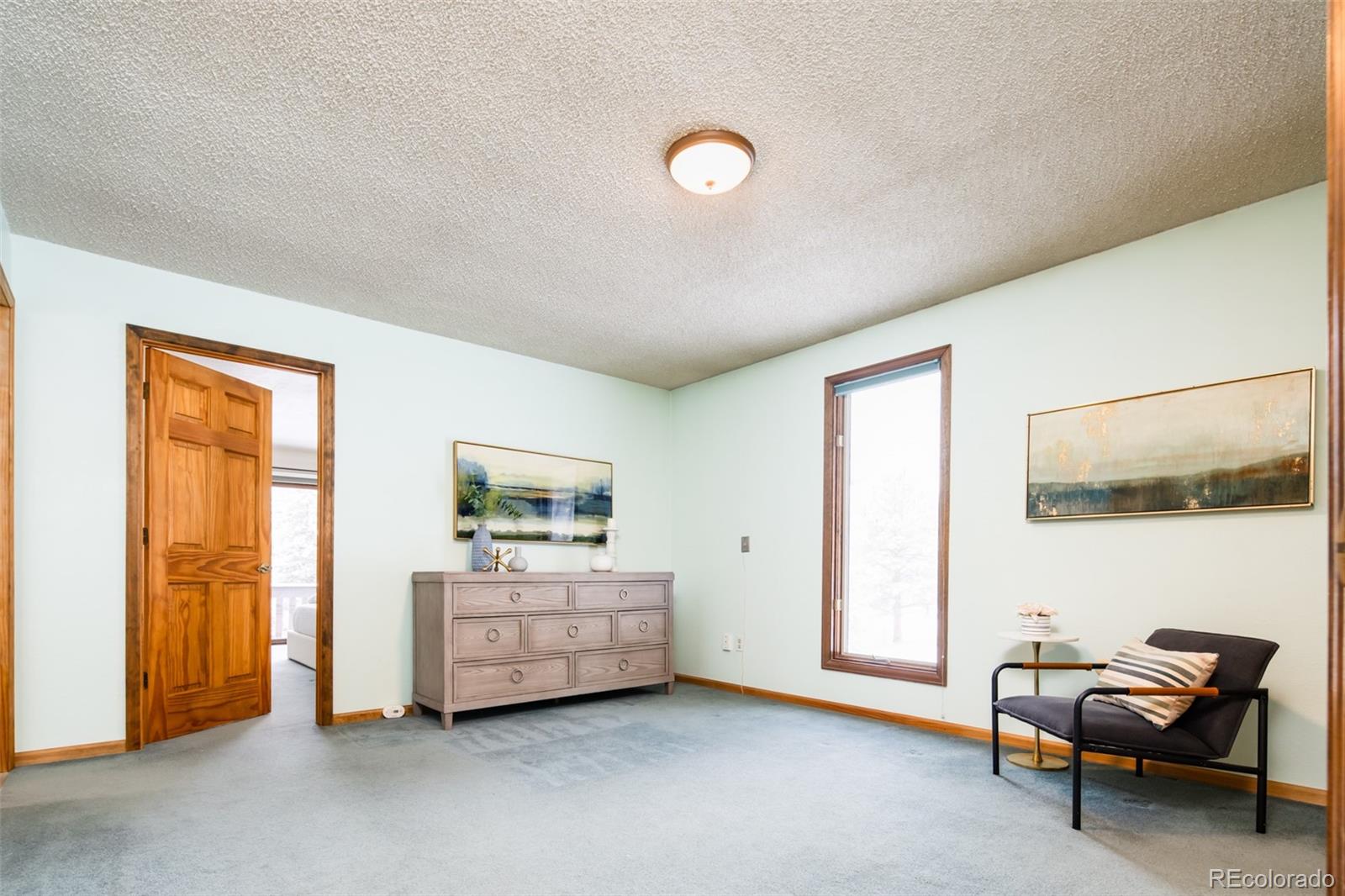 MLS Image #22 for 27625  hi view road,evergreen, Colorado