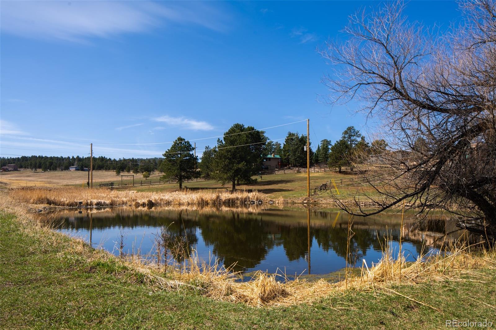 MLS Image #5 for 27625  hi view road,evergreen, Colorado