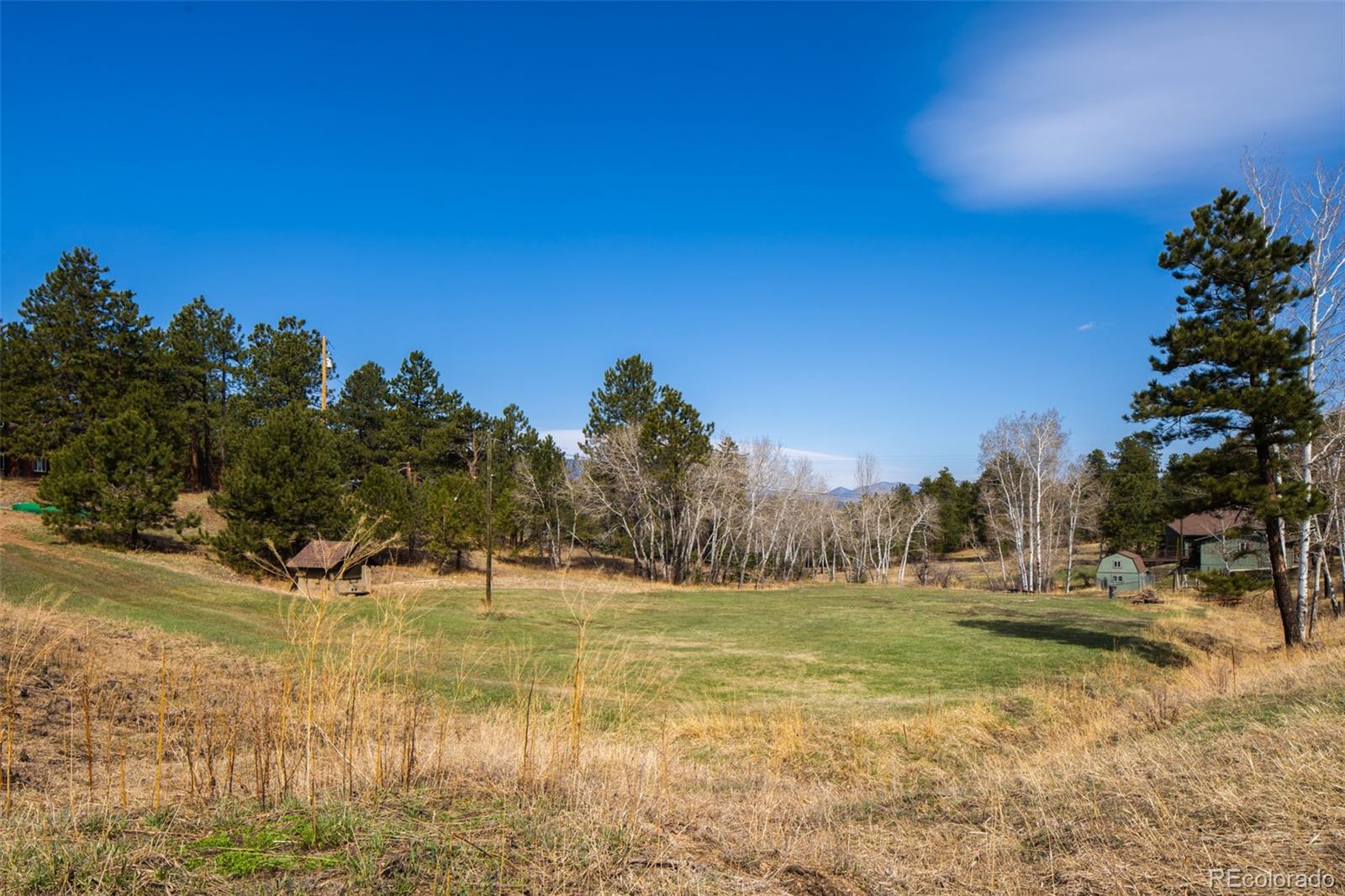 MLS Image #7 for 27625  hi view road,evergreen, Colorado