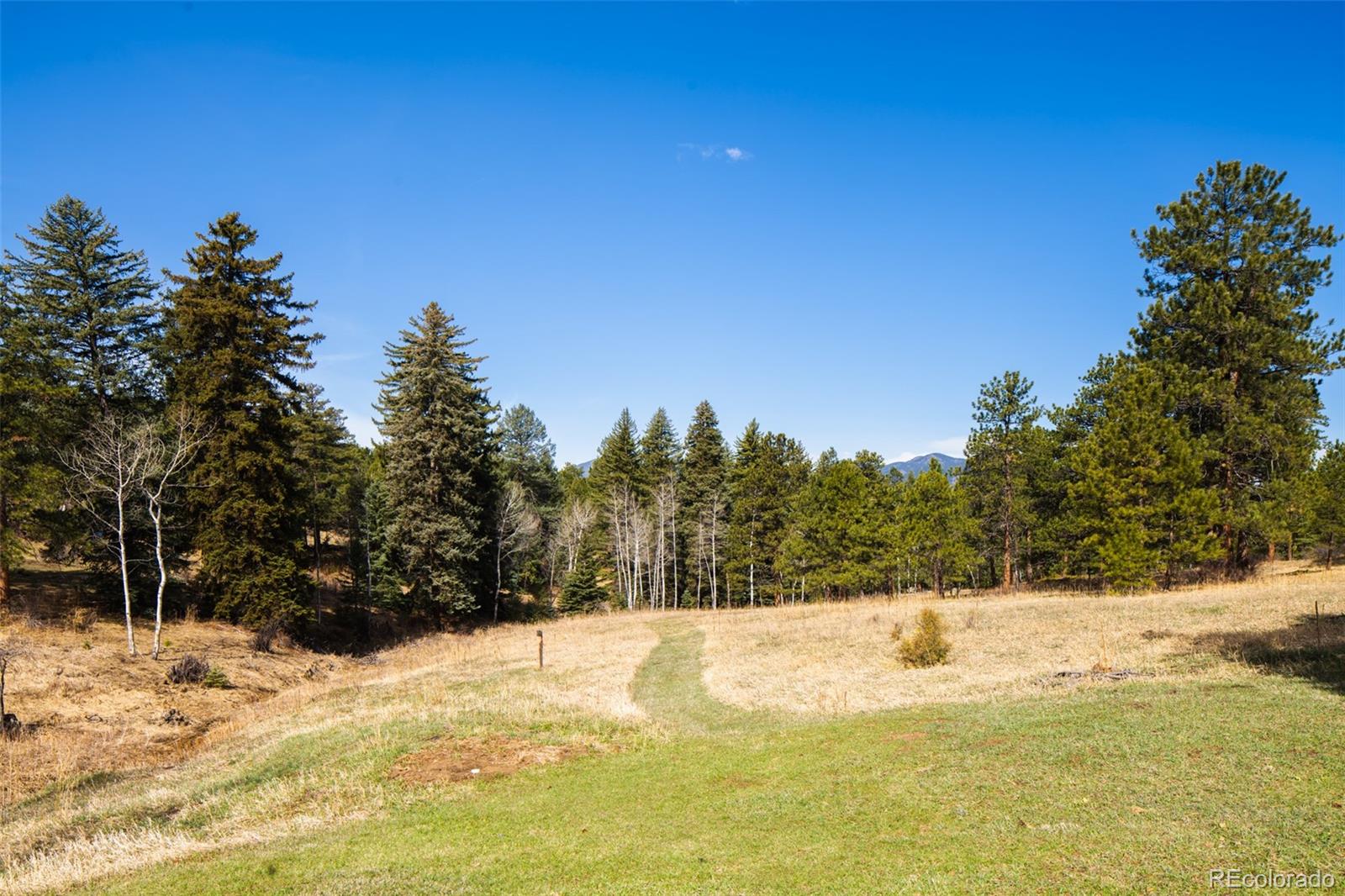 MLS Image #8 for 27625  hi view road,evergreen, Colorado