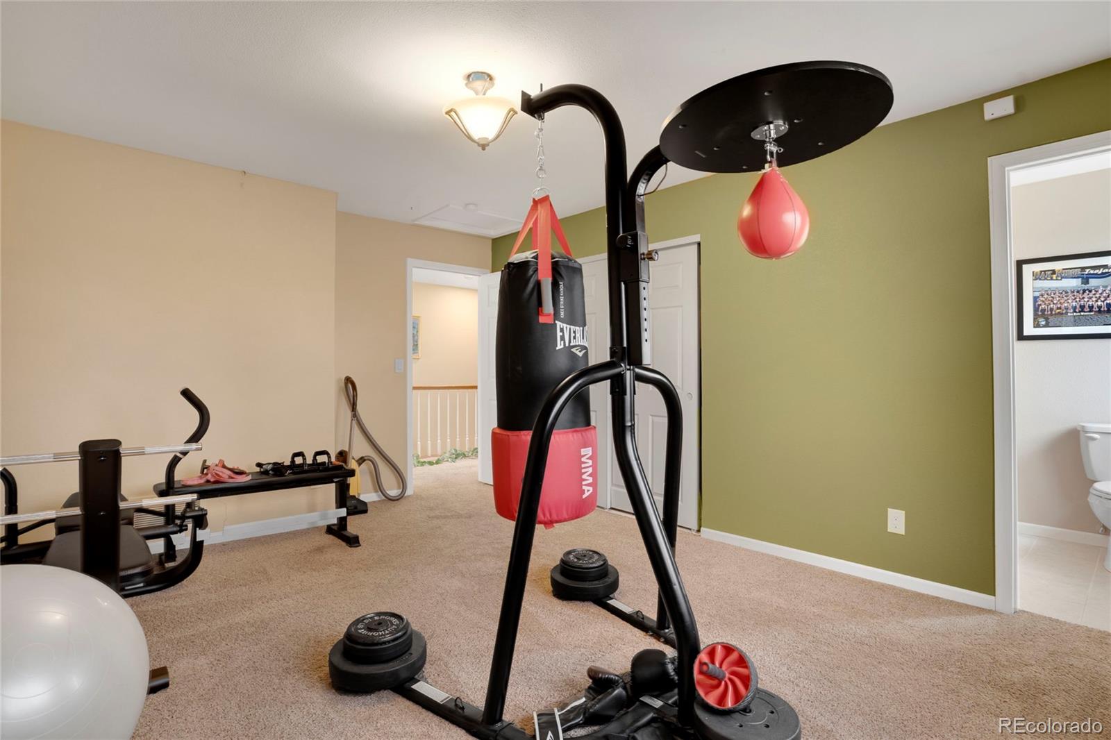 MLS Image #19 for 12337  2nd street,parker, Colorado