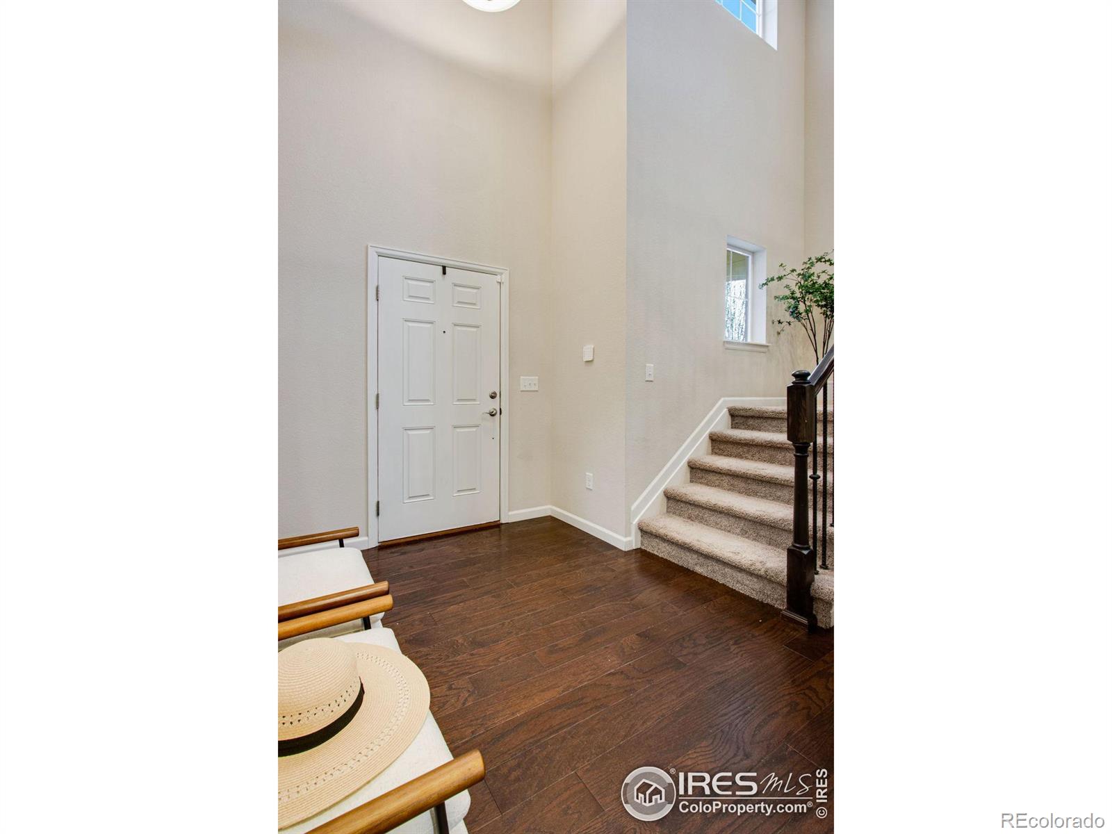 MLS Image #12 for 3244  bryce drive,fort collins, Colorado