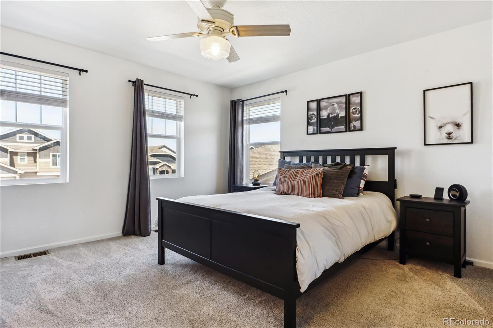 MLS Image #20 for 6252  anders ridge lane,colorado springs, Colorado