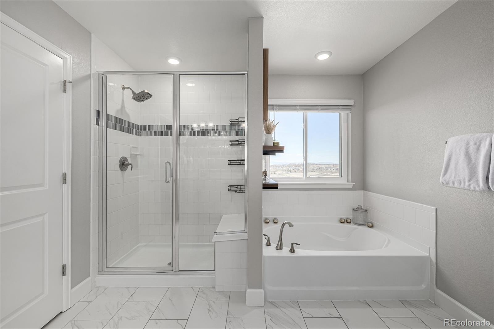 MLS Image #18 for 1825  wingfeather lane,castle rock, Colorado