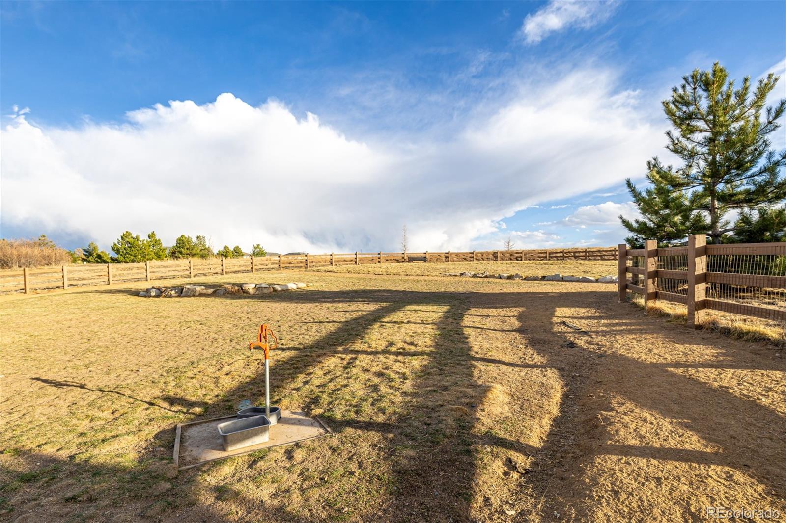 MLS Image #36 for 1825  wingfeather lane,castle rock, Colorado