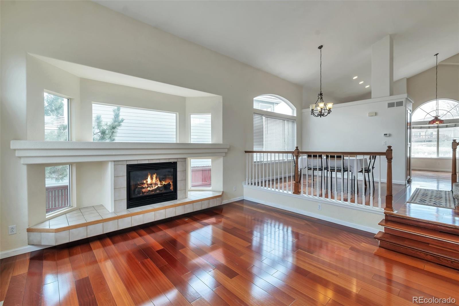 MLS Image #14 for 20308 e 46th avenue,denver, Colorado