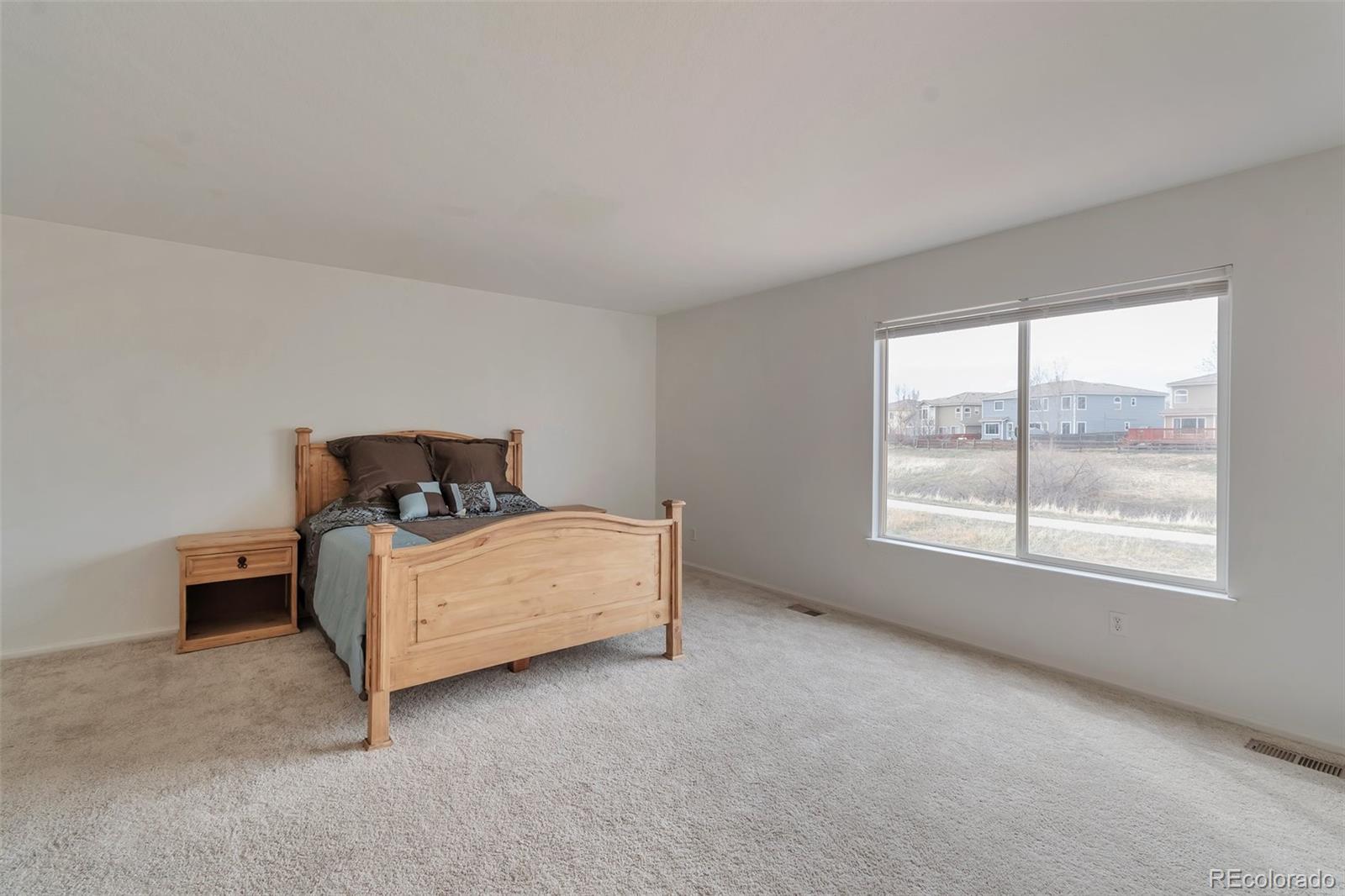 MLS Image #16 for 20308 e 46th avenue,denver, Colorado