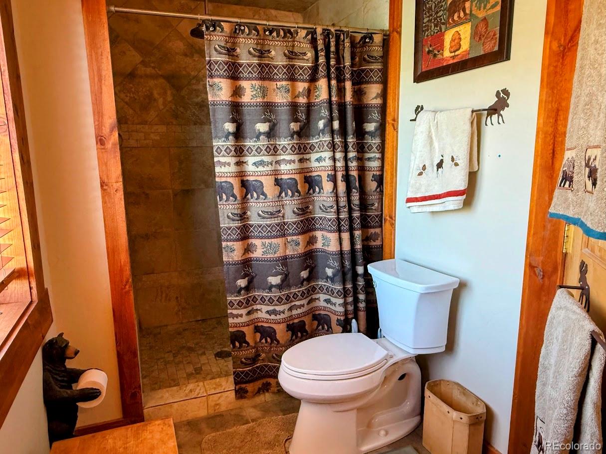 MLS Image #42 for 565  tanglewood lane,silverthorne, Colorado